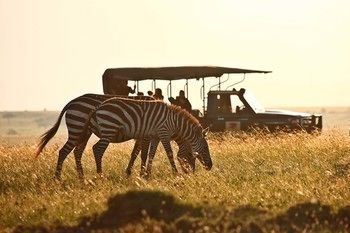 Elephant Pepper Camp Maasai Mara Dış mekan fotoğraf
