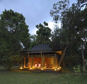 Elephant Pepper Camp Maasai Mara Dış mekan fotoğraf
